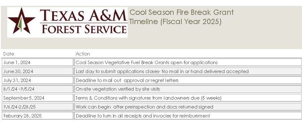 CSFB Timeline FY25 crop